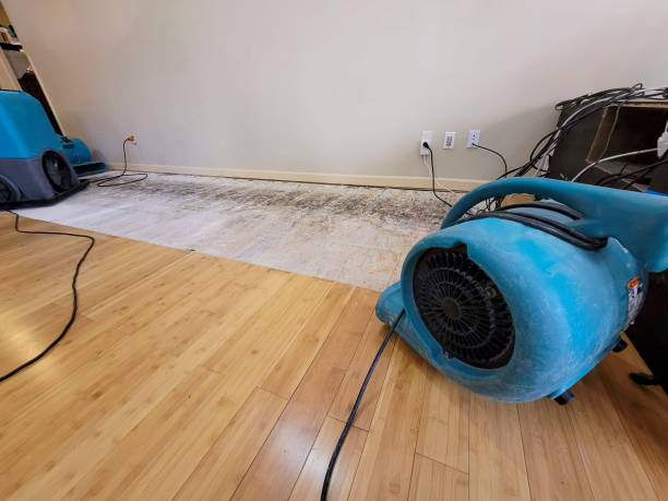 Professional Water Damage Repair technician working in Arthur, IL